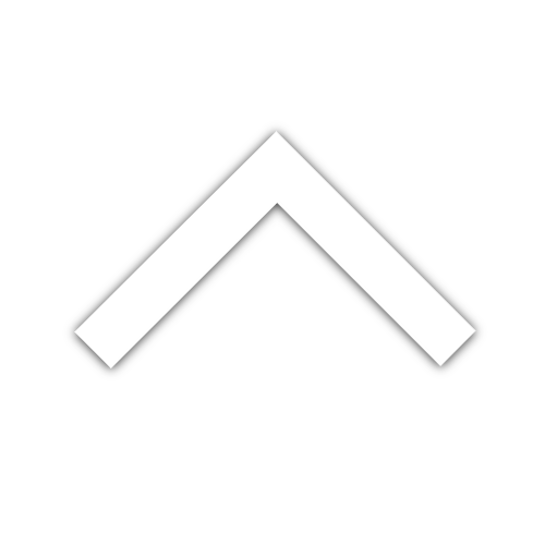 Scroll to Top